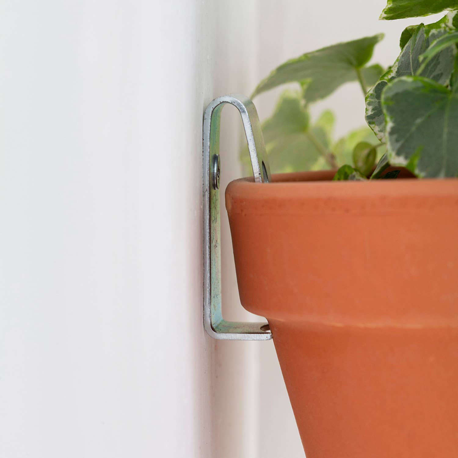 Terracotta pot with a plant attached to a white wall using a metal bracket.