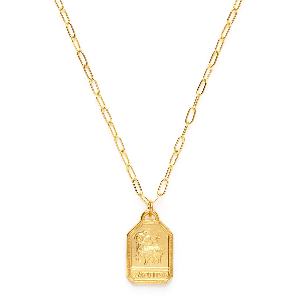 Dog Tag Zodiac Pendant Necklace - FORM + CONTENT