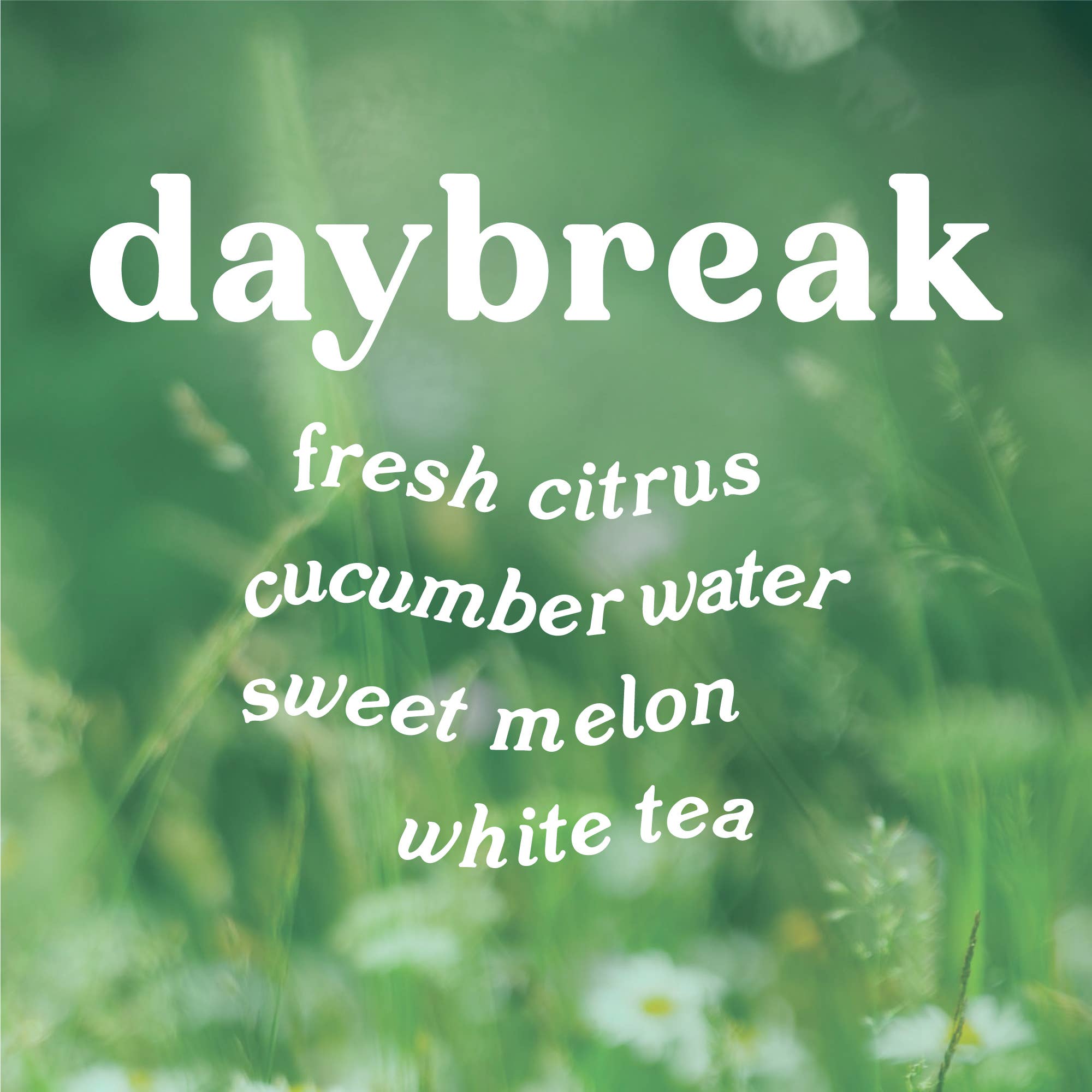 Text overlay on a blurred green background with 'daybreak' and flavor description.