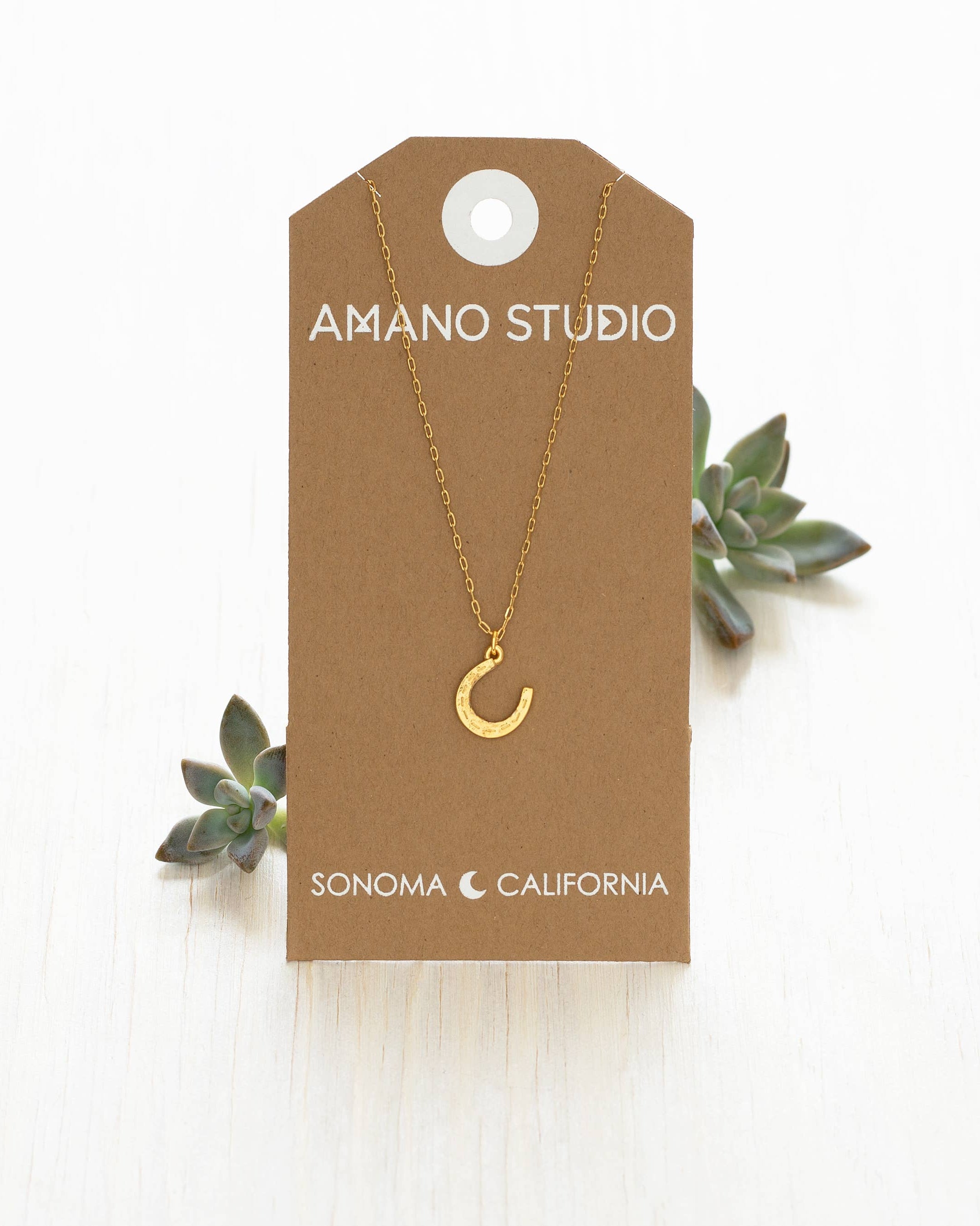 Gold necklace with a crescent moon pendant on an 'Amano Studio' branded card with succulents around.