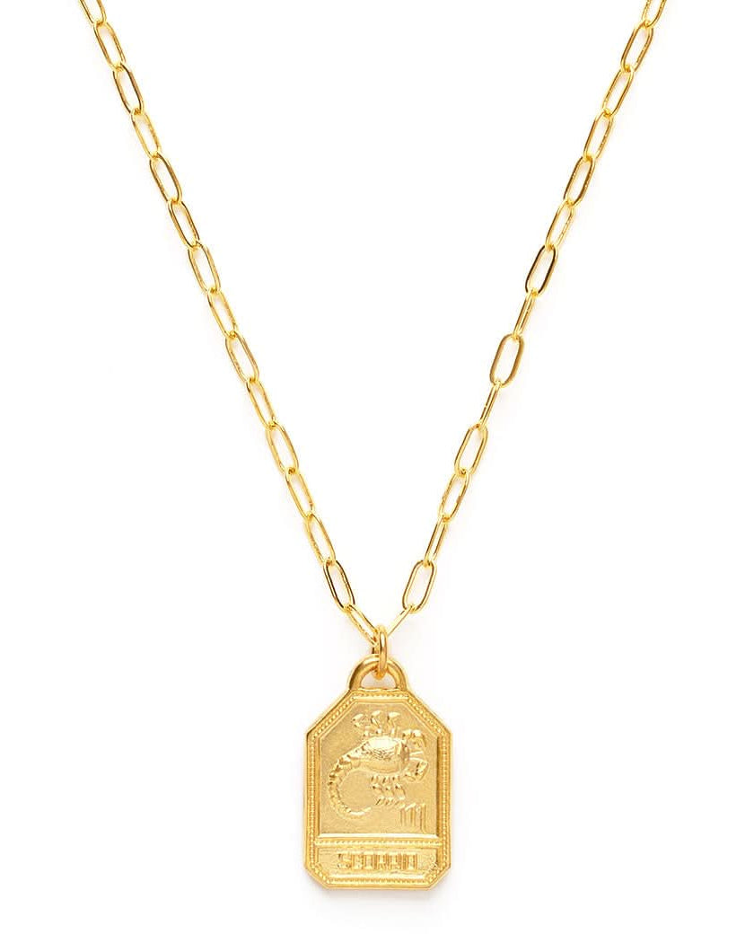 Dog Tag Zodiac Pendant Necklace - FORM + CONTENT