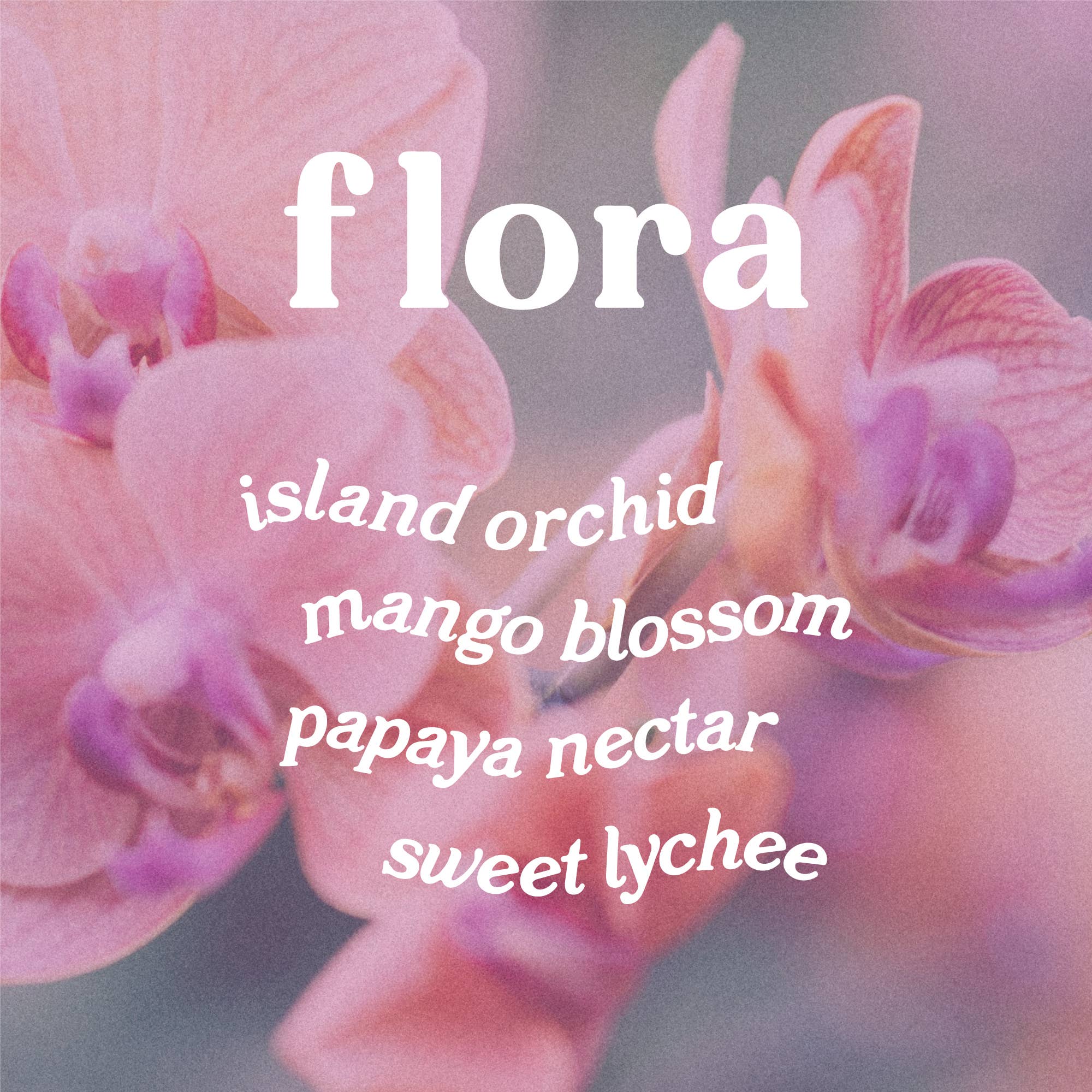 Pink orchids with 'flora' and fragrance names on a blurred background