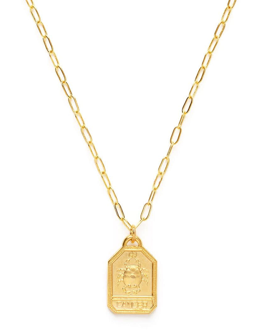 Dog Tag Zodiac Pendant Necklace - FORM + CONTENT