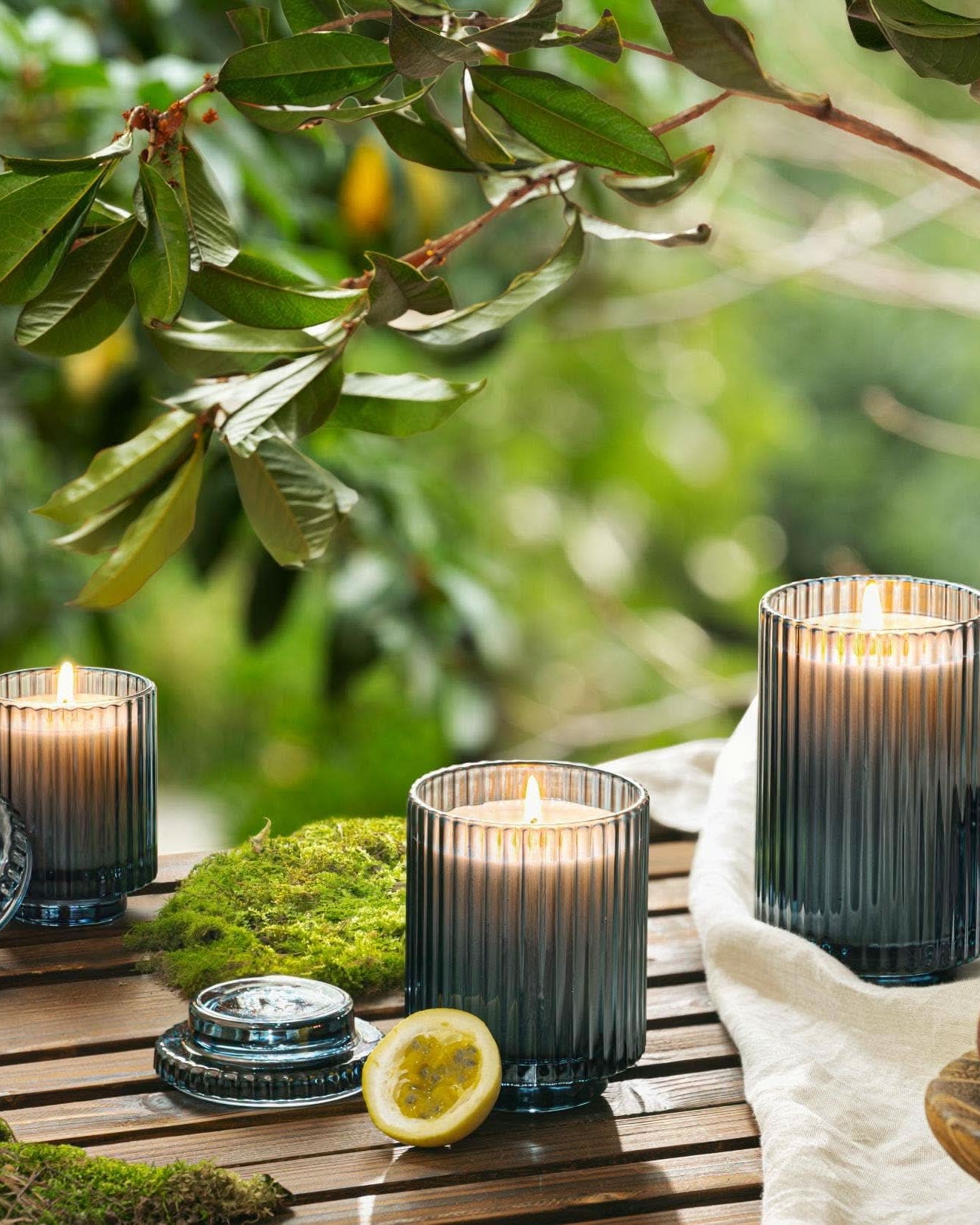 Candles in glass holders on a wooden surface with greenery in the background