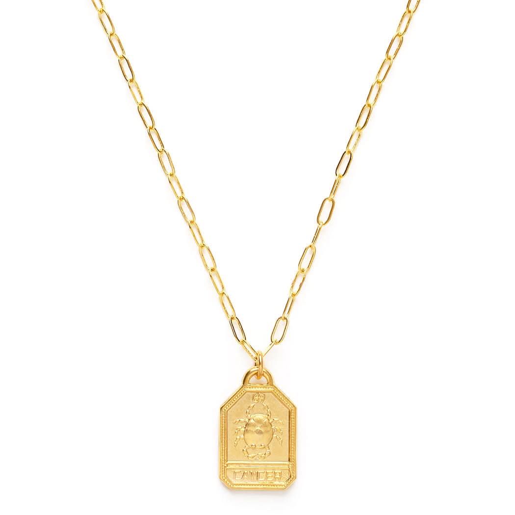 Dog Tag Zodiac Pendant Necklace - FORM + CONTENT