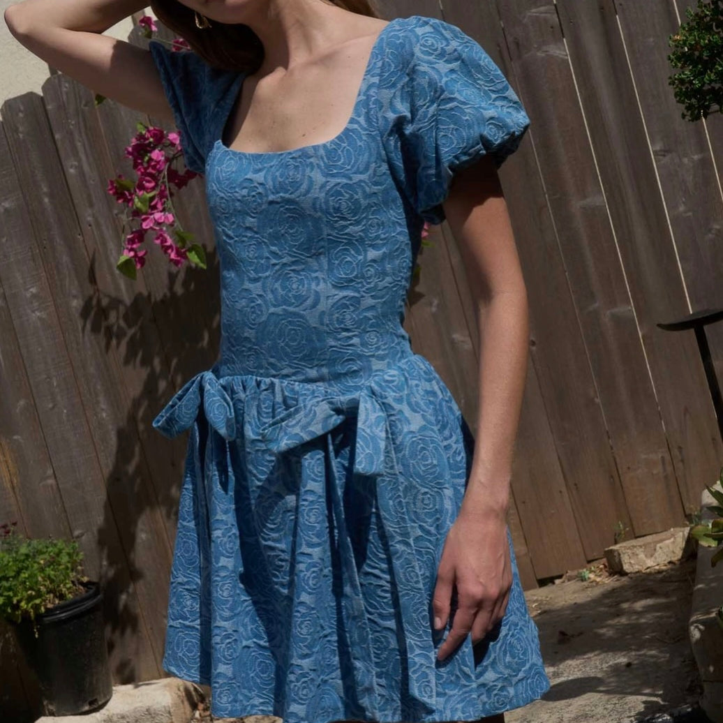 Woman wearing a blue dress standing outdoors with a wooden fence and plants in the background