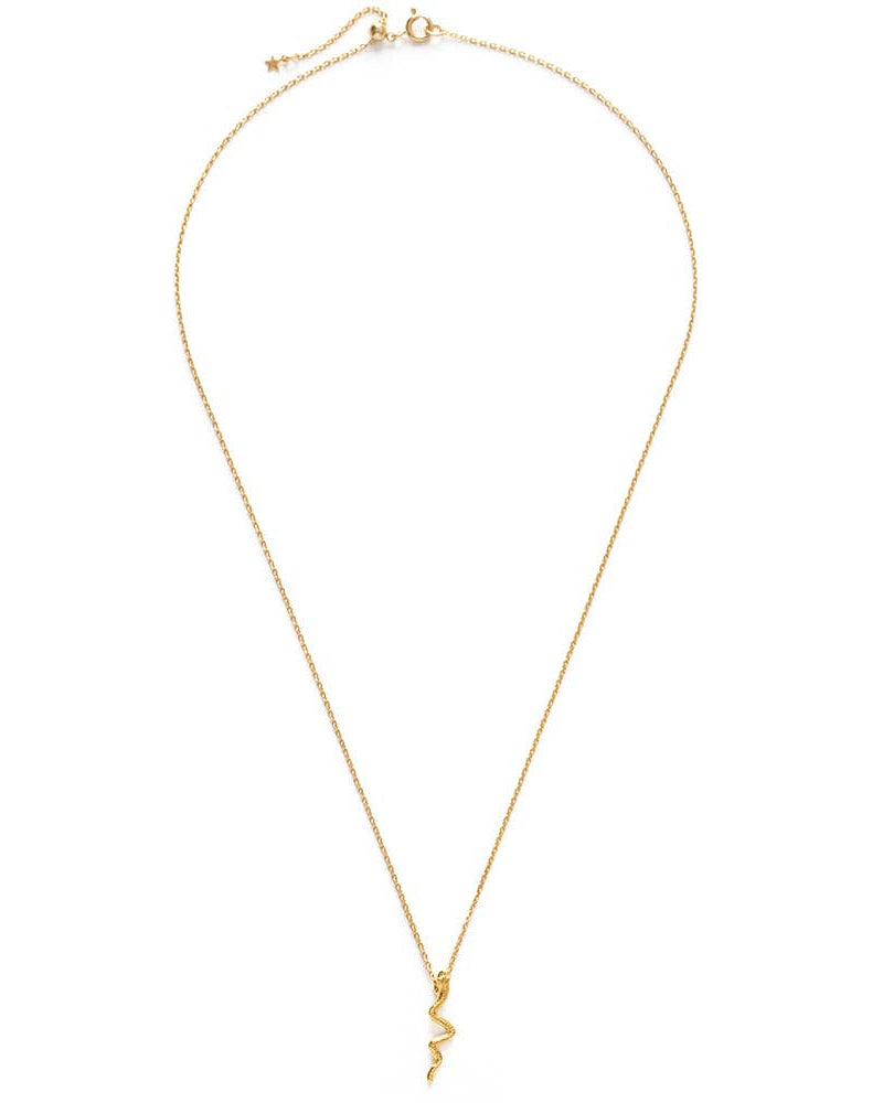 Gold necklace with a small pendant on a white background
