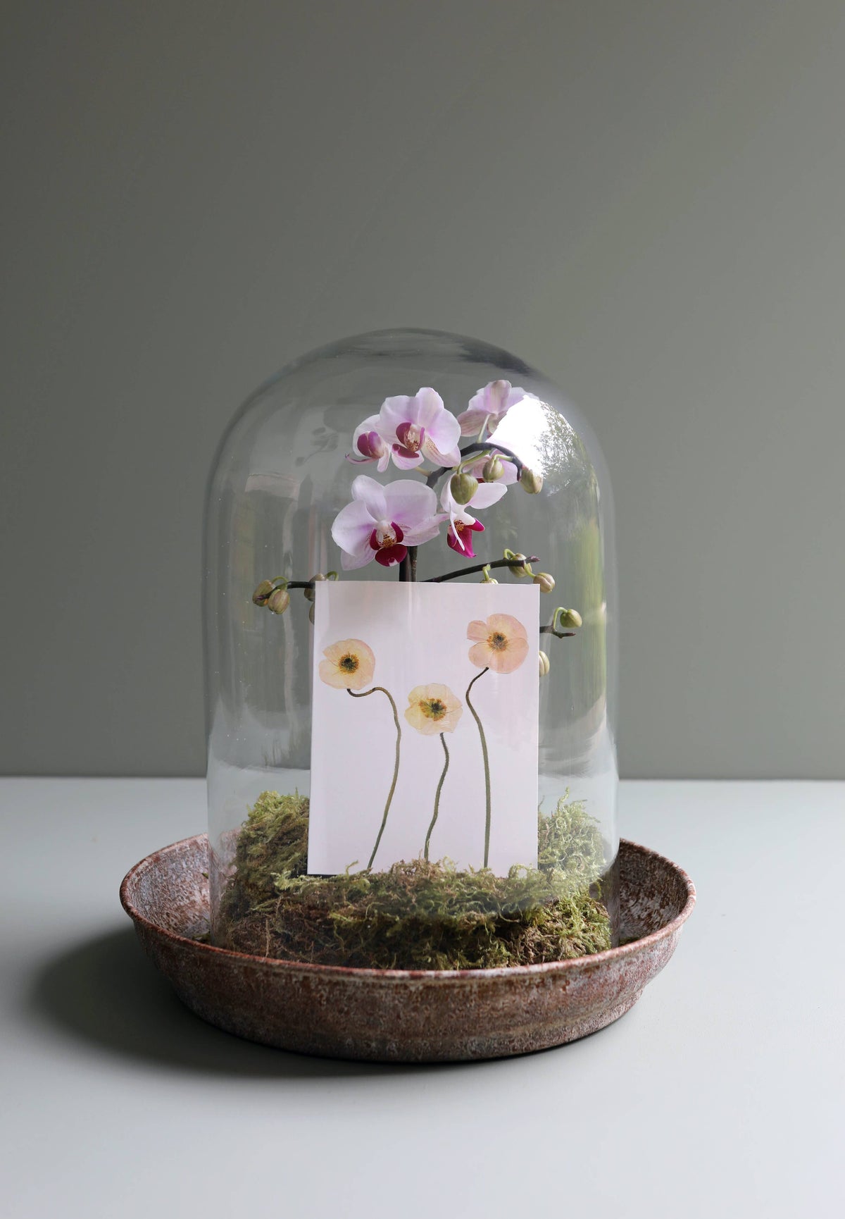 Glass cloche with orchids and a card on a gray background