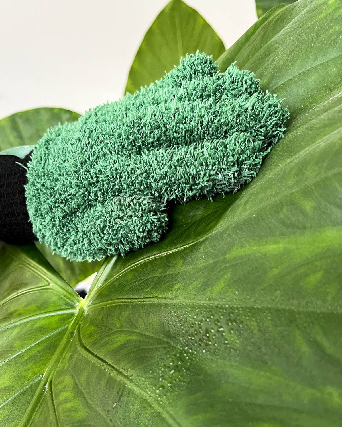 Green microfiber cloth on a large green leaf