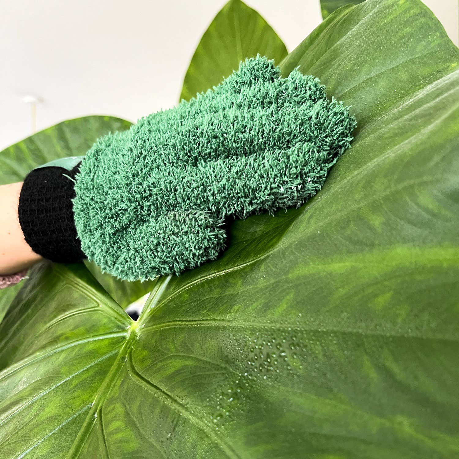 Green microfiber cloth on a large green leaf