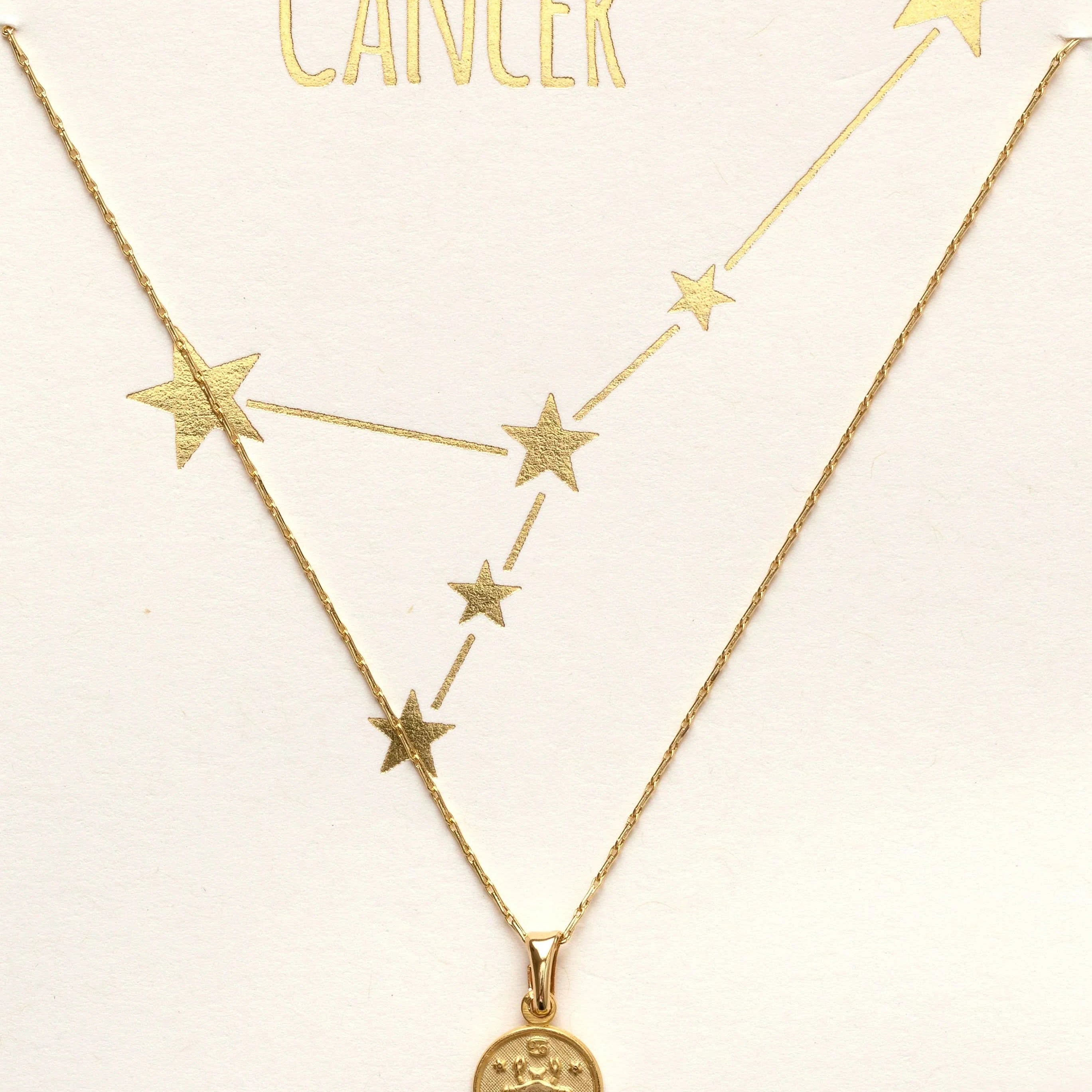 Tiny Zodiac Pendant Necklace - FORM + CONTENT