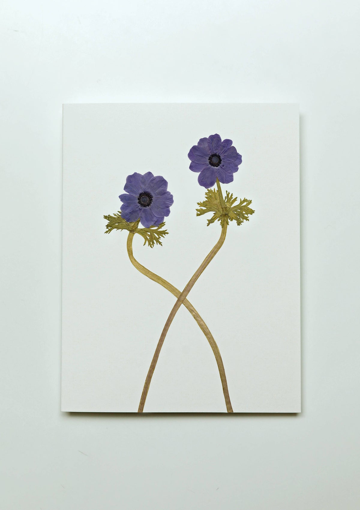 A minimalist botanical art print featuring two purple flowers with green and gold stems on a clean white background, photographed against a light gray wall.
