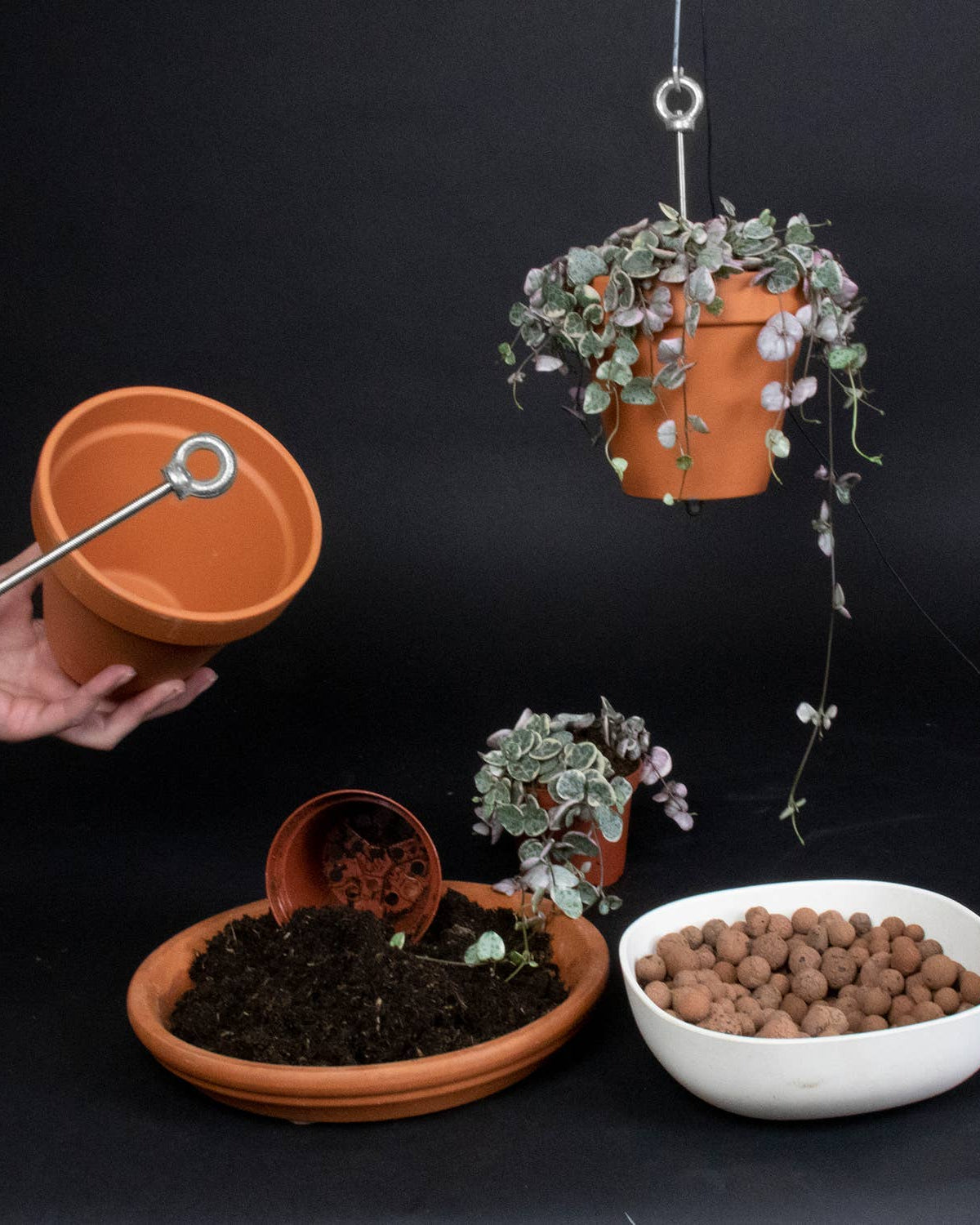 Potted plants, soil, and a white bowl with small rocks on a black background