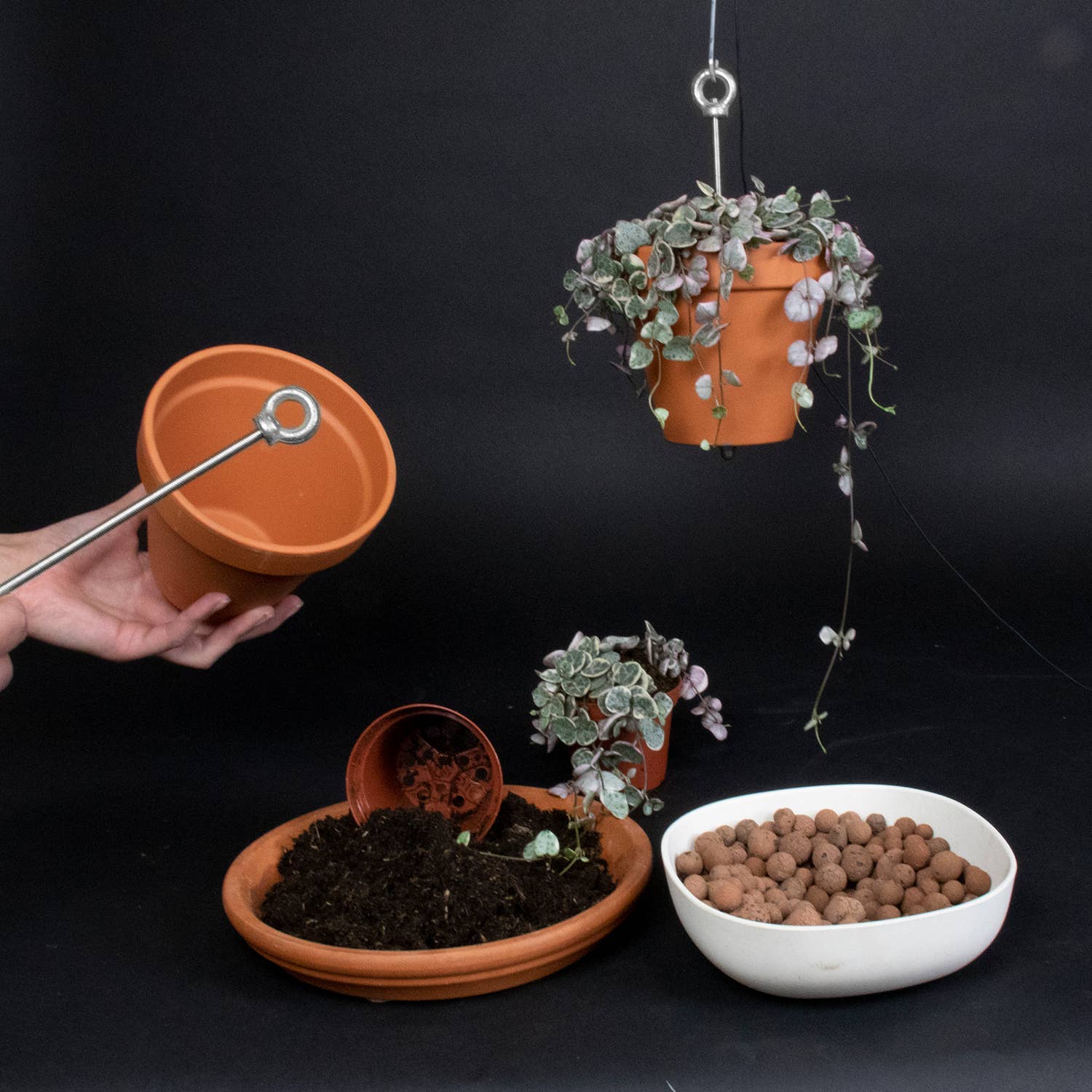 Potted plants, soil, and a white bowl with small rocks on a black background