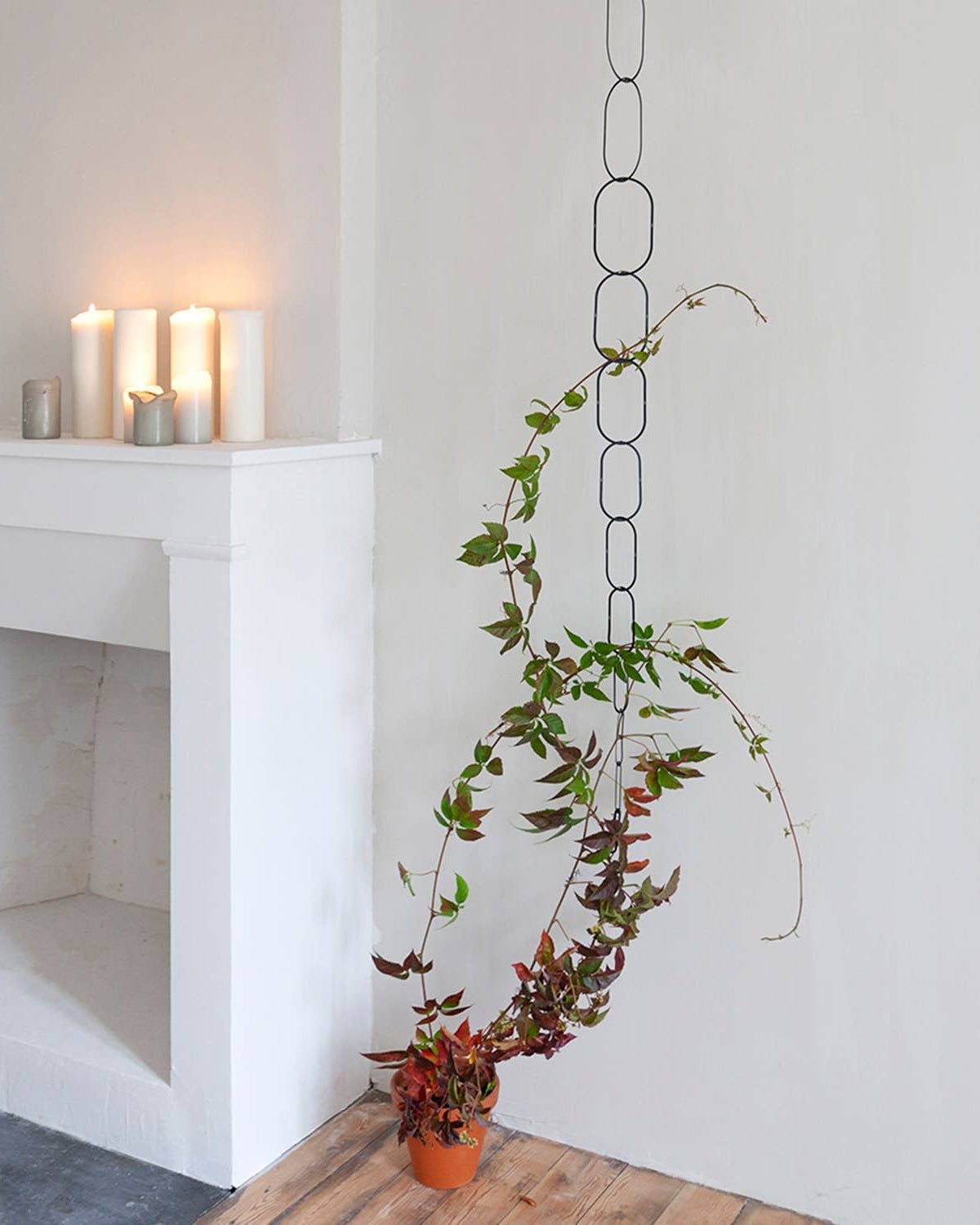 Hanging plant in a modern interior setting with candles on a mantelpiece.
