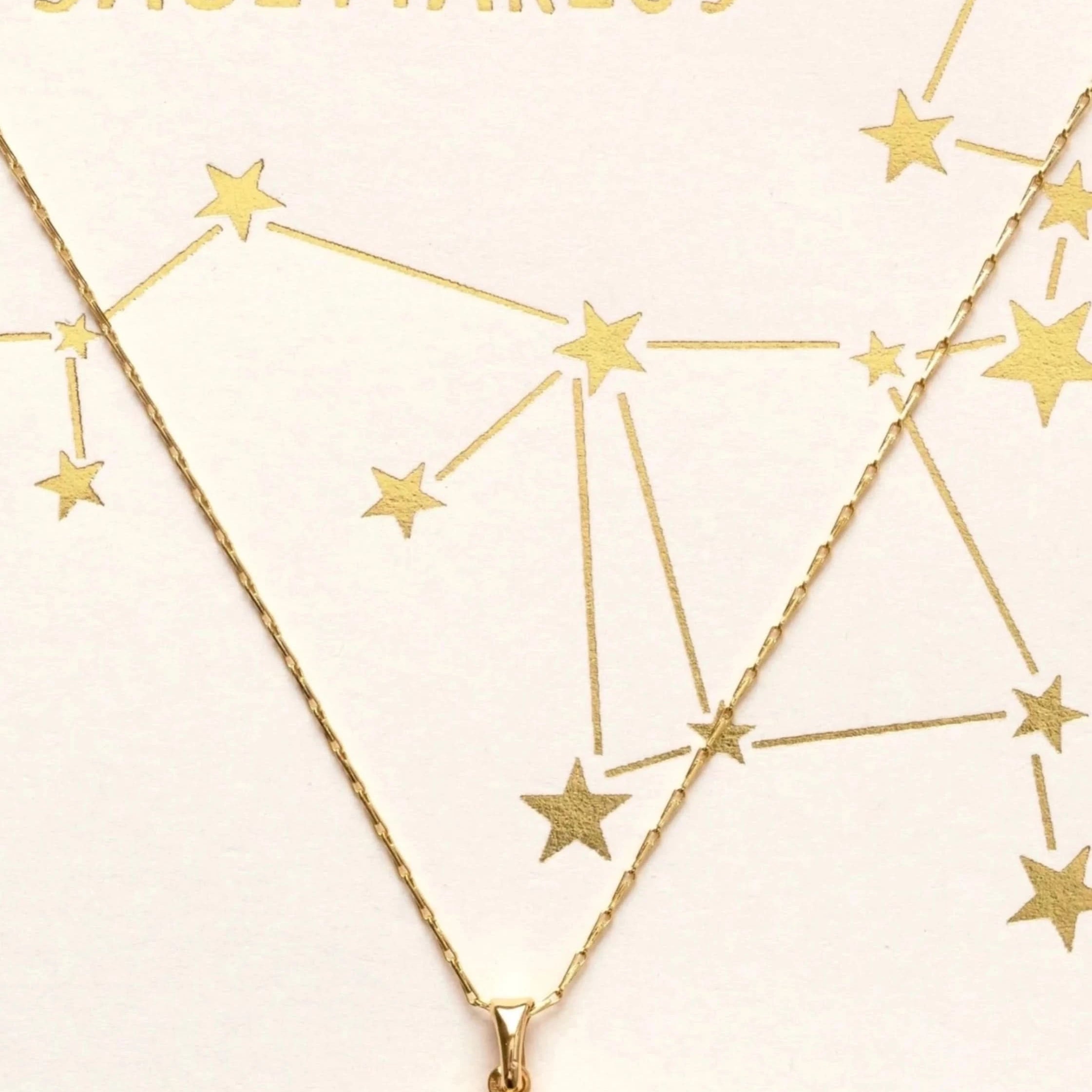 Tiny Zodiac Pendant Necklace - FORM + CONTENT