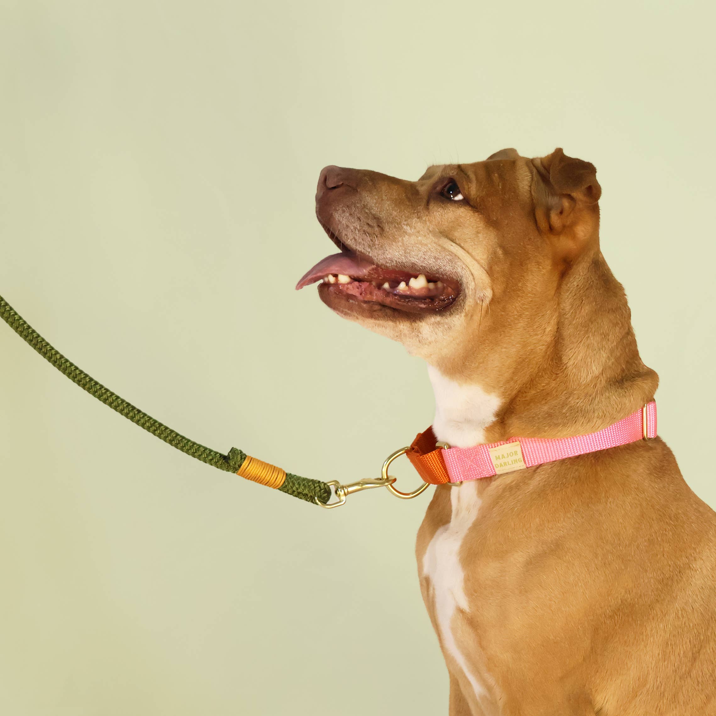 PET