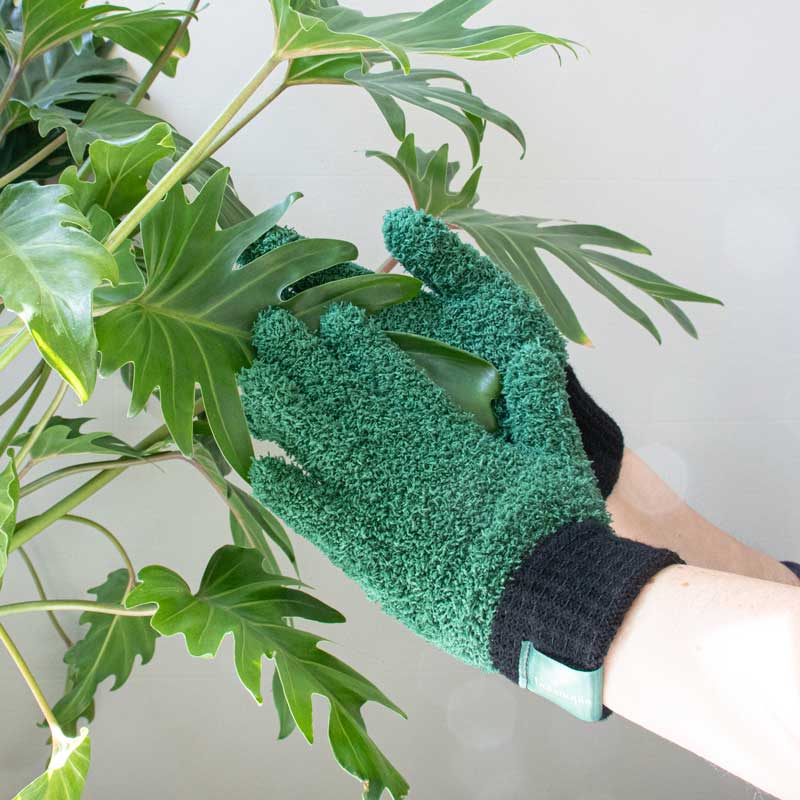 Person wearing green gardening gloves holding a plant with a light gray background