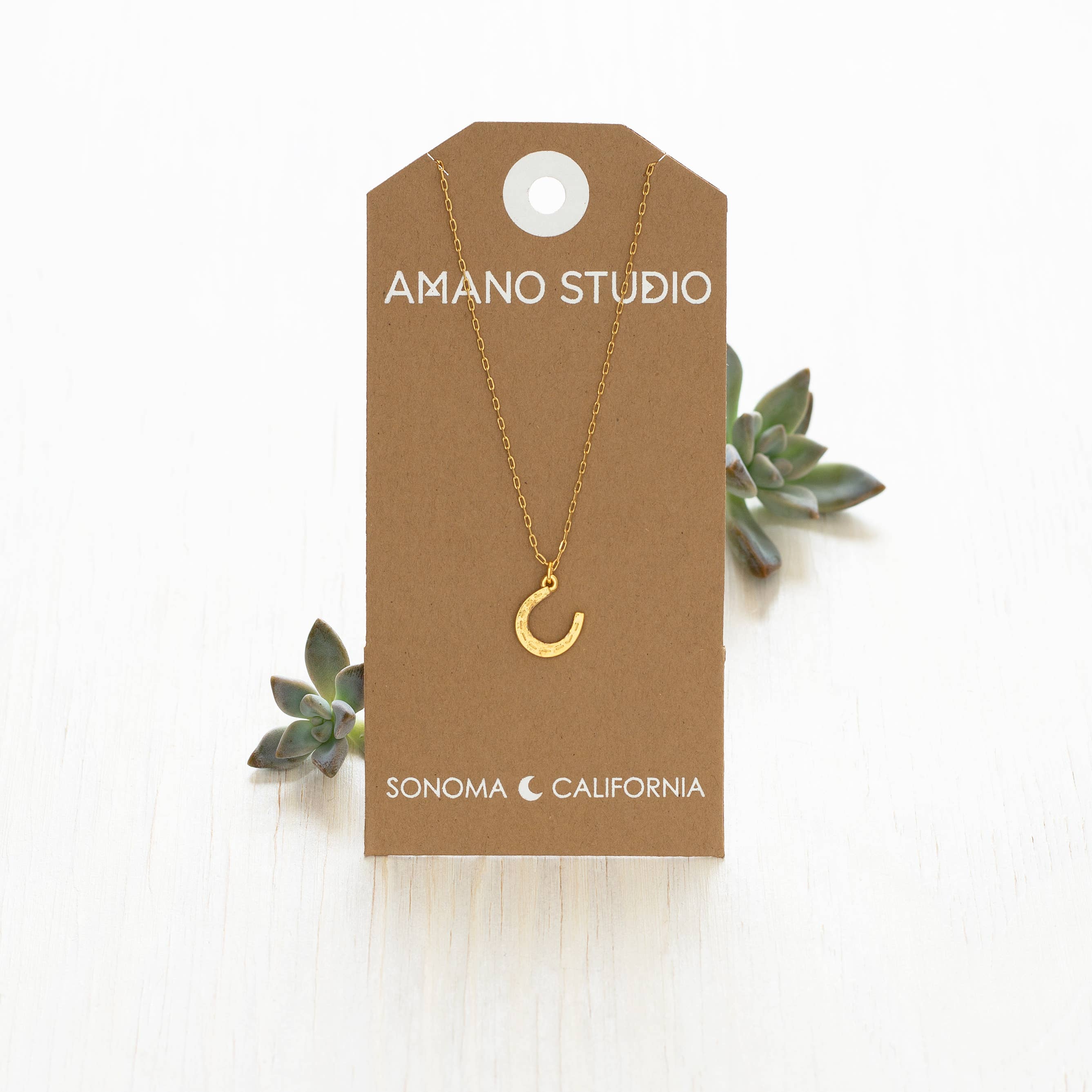 Gold necklace with a crescent moon pendant on an 'Amano Studio' branded card with succulents around.