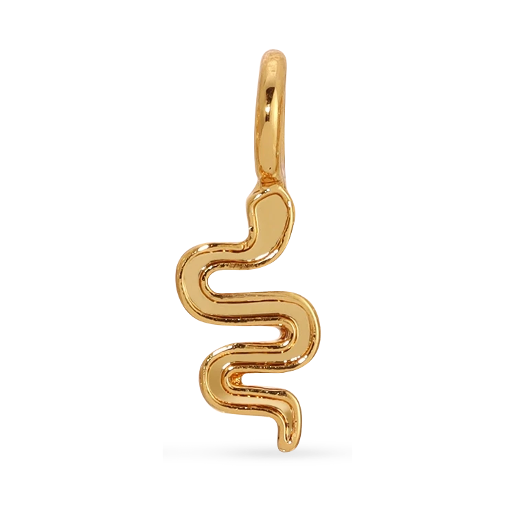 Lucky Feather Charm Garden Charms
Gold snake-shaped pendant 