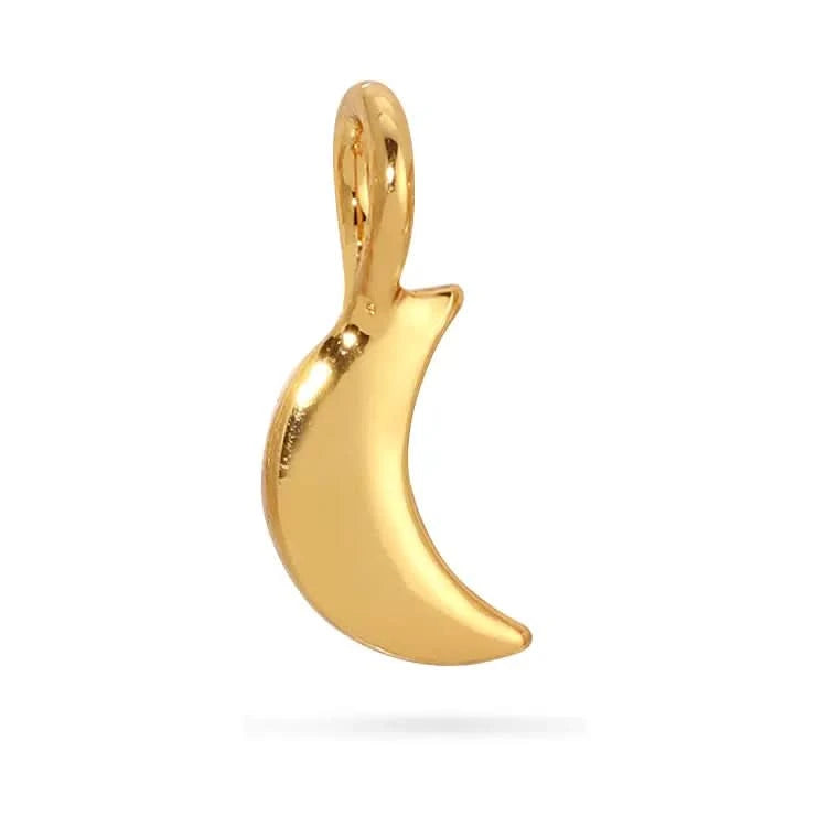 Lucky Feather Charm Garden Charms
Gold crescent moon pendant on a 