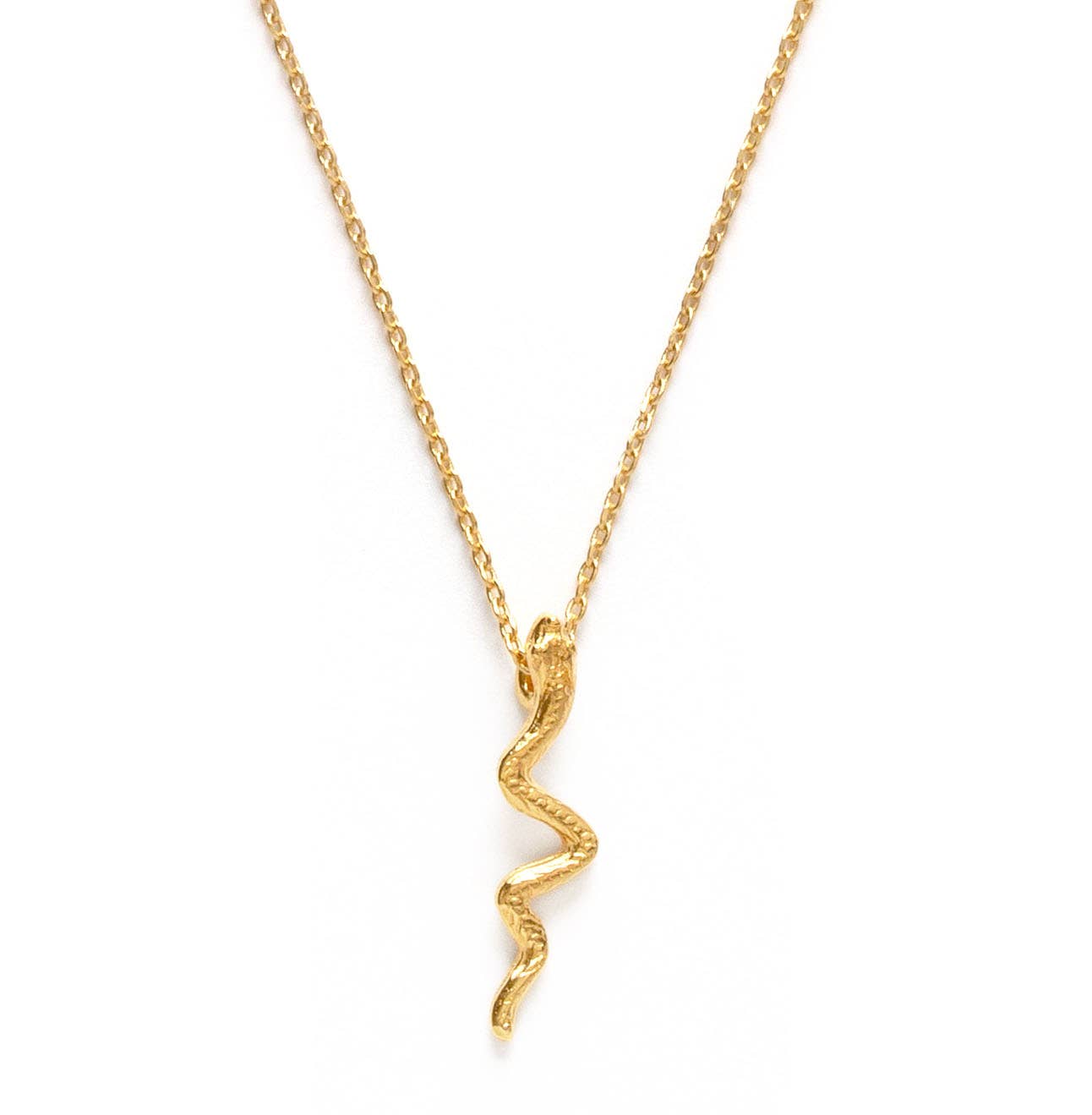 Gold necklace with a unique Serpent pendant on a white background