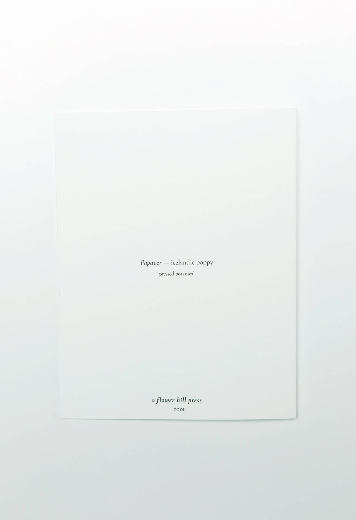 A minimalist white art print or poster featuring small black text centered on the page, including 'Papier - sculpting puppy' and 'e flower hill press', photographed against a clean white background.