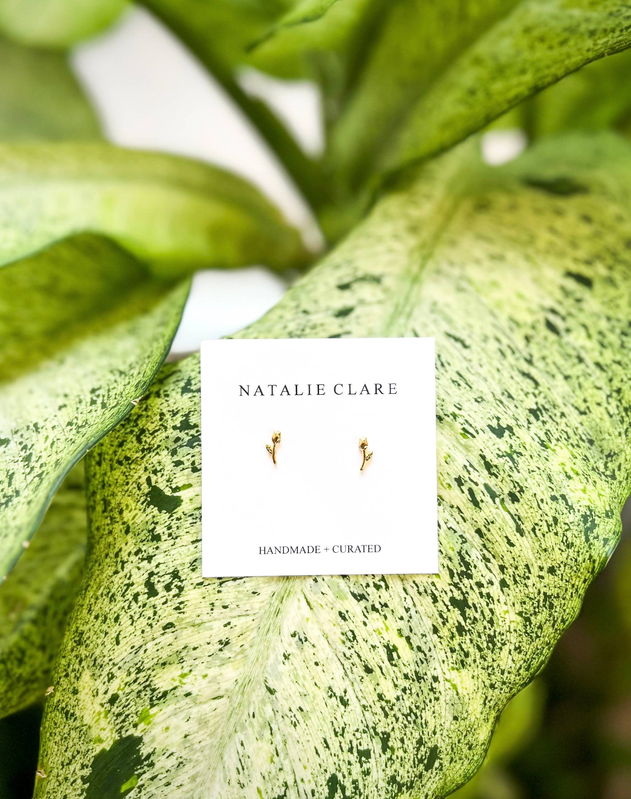 Natalie Clare card among green leaves